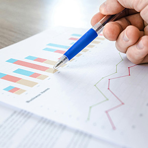Market Research Portal
